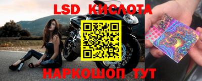 тгк Краснодар