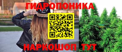 тгк Краснодар