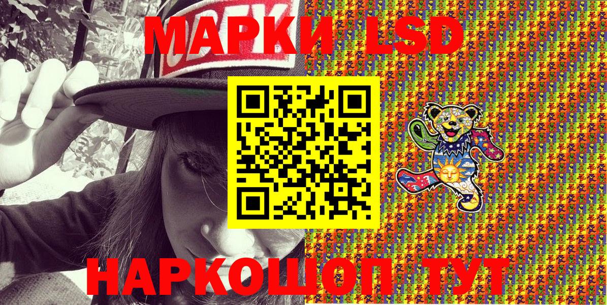 A PVP Кингисепп