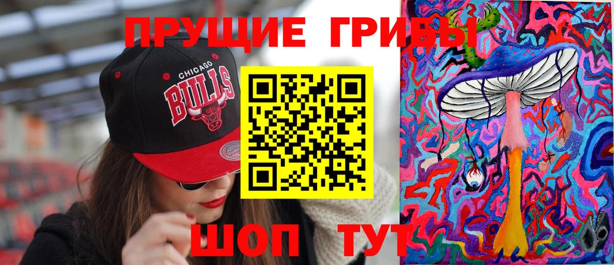 наркота  Псилоцибиновые грибы Magic Shrooms  Псилоцибиновые грибы мухоморы  Вход с VPN  Кингисепп 